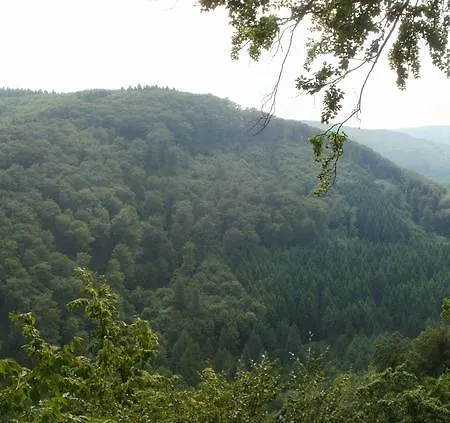 מלון Westerwald