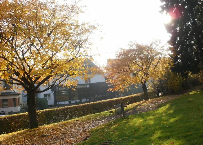 فندق Westerwald 2*