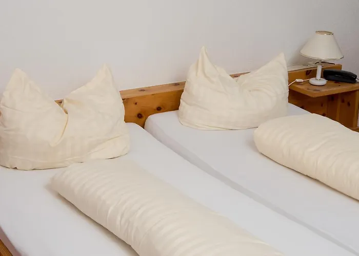 فندق Westerwald 2*